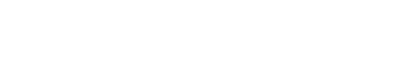 Orca AI